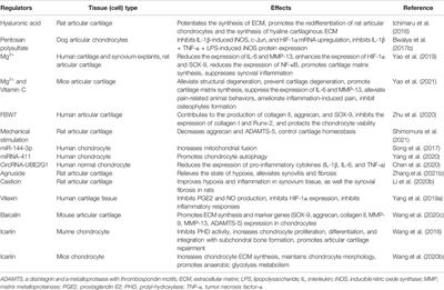 HIF-1α in Osteoarthritis: From Pathogenesis to Therapeutic Implications